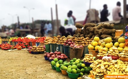Food price crash: Farmers fault FG’s order as agro-imports hit N2.2tn