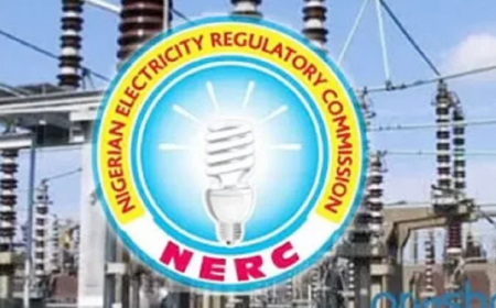 NERC Chairman Vows Crackdown On Meter Bypass, Electricity Theft