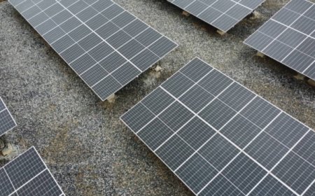 Nigeria Partners Dutch Firm On 1GW Solar Panel Factory