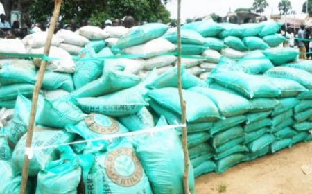 Nigeria imports 560,000 tonnes of fertiliser inputs in 2025