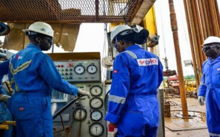 Seplat plans 10% SEPNU Joint Venture sale to NNPC, reveals five-year targets