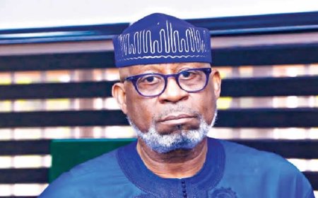 FG revokes 1,263 mineral licences over default