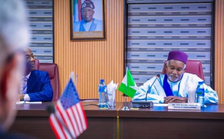 UNGA80: Nigeria to intensify push for UN Security Council Permanent Seat – Tuggar