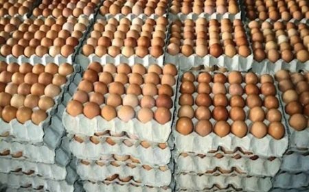 200% Price Surge Pushes Egg, Chicken Off Nigerians’ Menu