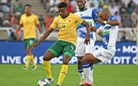 World Cup: Hope For Benin, Nigeria As FIFA Sanctions South Africa