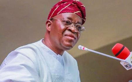 Pollution, Climate Change, Neglect Pose Risks To Ocean Sustainability – Oyetola