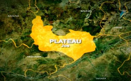 Farmer Beheaded In Plateau Community