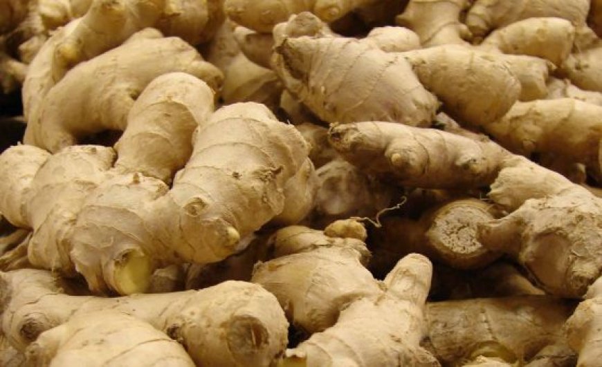 Nigeria ginger output drops amid soaring market prices
