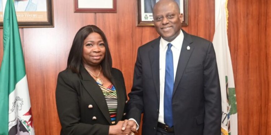 NIDCOM: $600 million monthly diaspora remittances signal success of CBN reforms in Nigeria