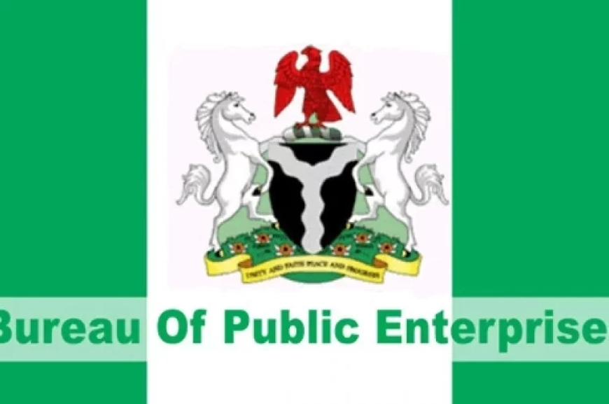 BPE Plans Listing 2 DisCos, GenCo On Stock Exchange