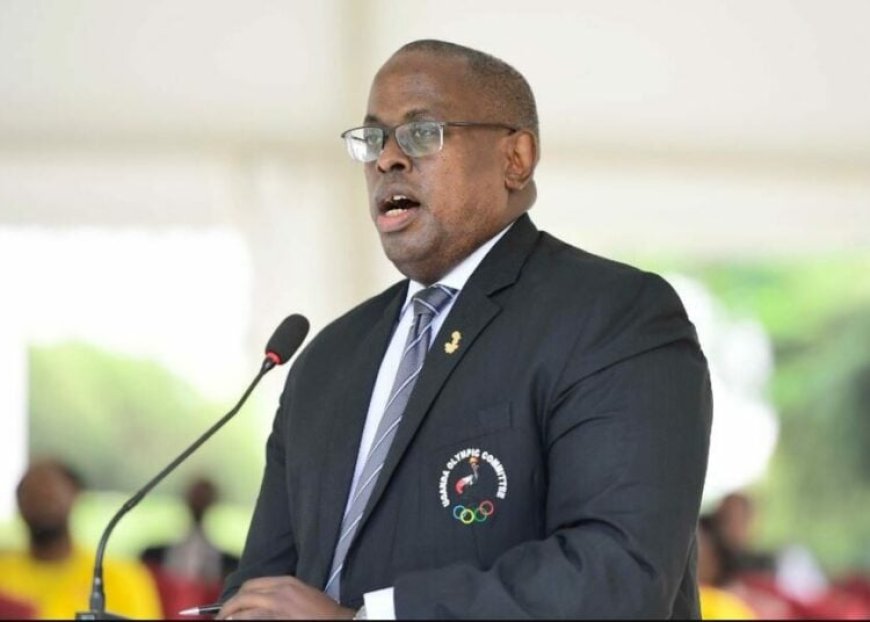 C’wealth Sports President Hails Nigeria, India’s Ambitious Bid To Host 2030 Games