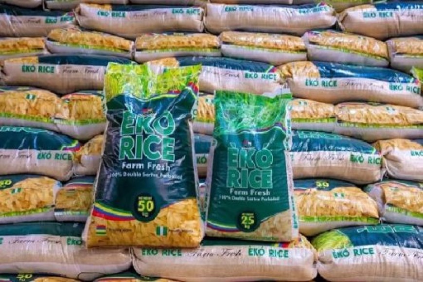 LCFE to begin trading on N23.4b new rice spots contracts
