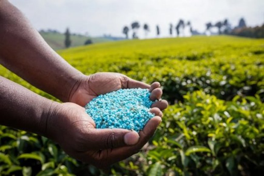 New initiative to boost fertilisers