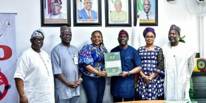 Upstream Regulator Oversees Conversion Of Prospecting To Mining Licence 66