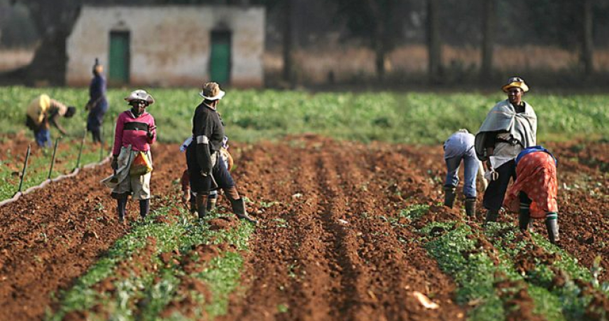 Soil Values Project Trains 50 Extension Agents, Farmers In Bauchi