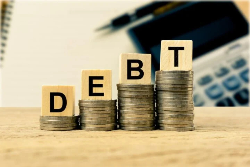 MPC member: Petrol subsidy removal, FX liberalisation yet to curb debt growth