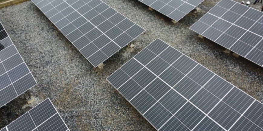 Nigeria Partners Dutch Firm On 1GW Solar Panel Factory