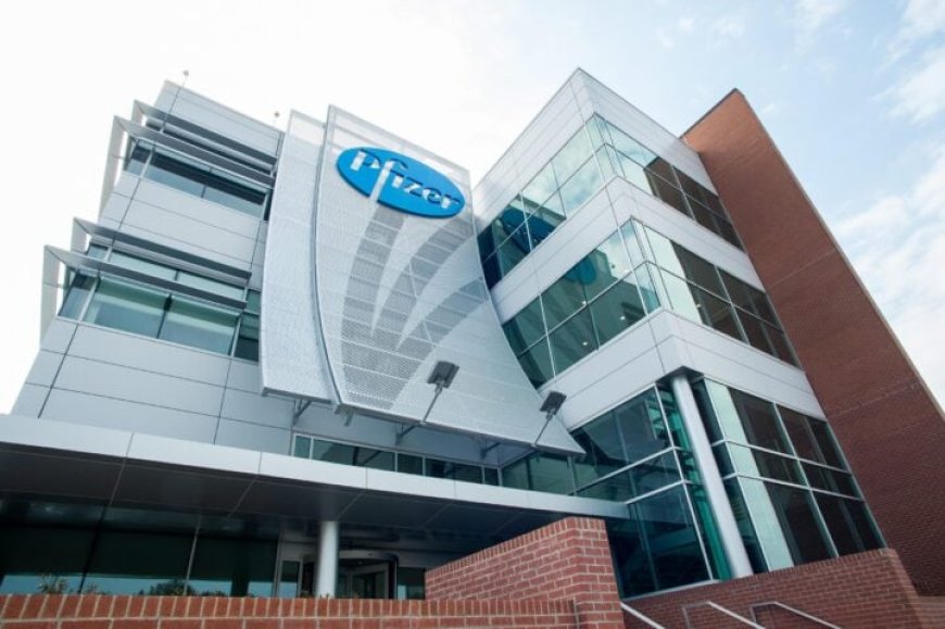 Pfizer to acquire Metsera, obesity drugmaker, for $4.9bn