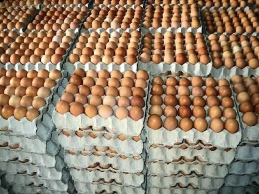 200% Price Surge Pushes Egg, Chicken Off Nigerians’ Menu