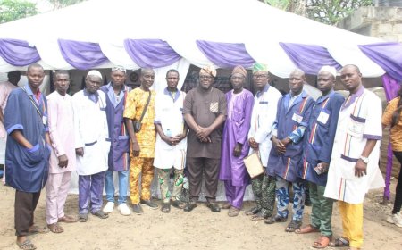 Lagos unveils artisan certification to curb building collapse