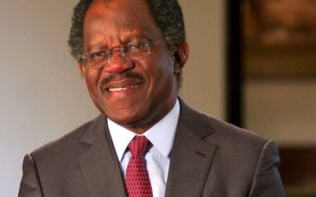 Adebayo Ogunlesi eyes investments in Nigeria’s ports, aviation sectors