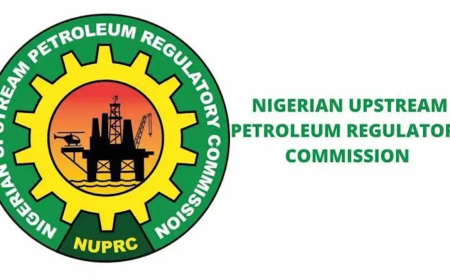 Petroleum Act Boosts Upstream Oil Sector With $40bn Investments