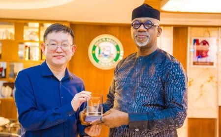 Chinese firm to build power plant, industrial park in Ogun