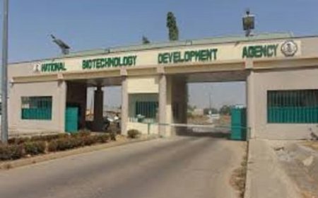 NBRDA urges farmers to adopt biotech to boost food productivity