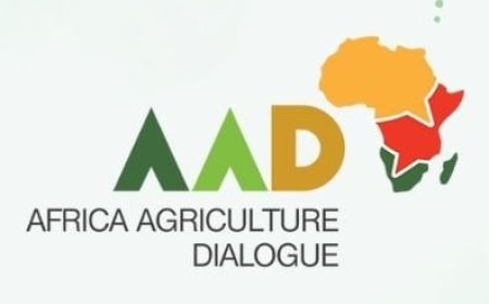 Experts rally to boost agricultural productivity