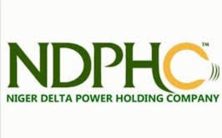 NDPHC explains fresh Alaoji plant revival delay