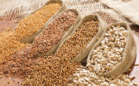 How sesame seeds export can drive non-oil exports, by NEPC