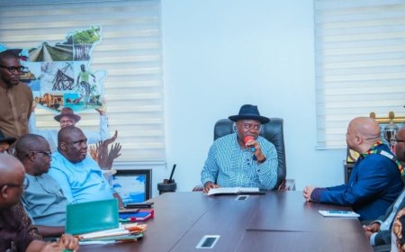 Bayelsa acquires two aircraft for commercial flight operations