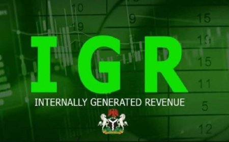 Opposition slams govt as states’ IGR soars by 50%