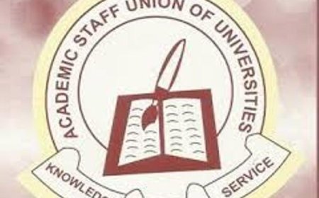 Federal Government’s Appeal To Shelve Strike Too Late — ASUU