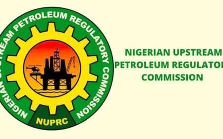 Nigeria’s oil output hits 454m barrels in nine months – Report