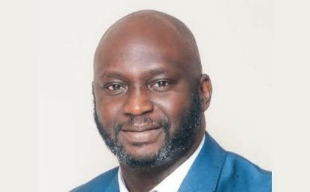 Africa Needs Cheaper Credit To Power Manufacturing — BoI MD