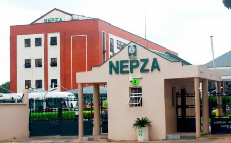 NEPZA to unions: Free trade zone law bars strike against new company for 10 years