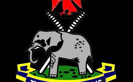 Nigeria Police temporarily suspend tinted glass permit enforcement