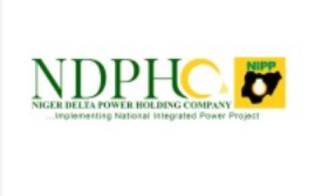 NDPHC signs 500mw power agreements