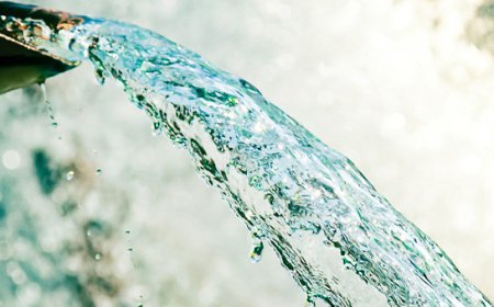 BAT Nigeria Champions Sustainable Water Stewardship