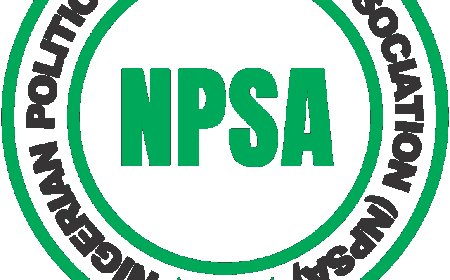 Nigeria’s Political Parties Are Lawless – Political Scientists