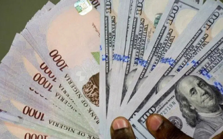 Naira: Depreciation not necessarily bad — IMF