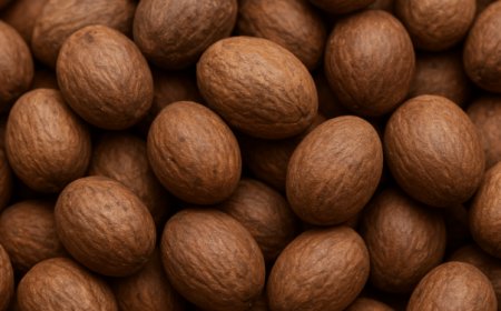 Shea nuts export ban splits industry as female pickers lose, processors gain