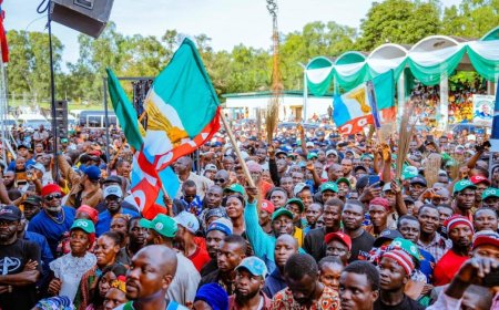 APC will expand control to 30 states before end of 2027, says PGF DG