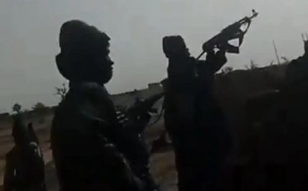 Bandits kill ‘five police officers, three vigilantes’ in Zamfara