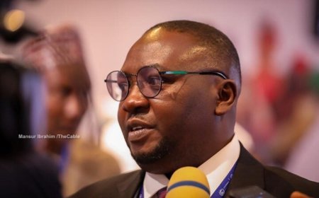 Adelabu: FG to reconnect ALSCON to national grid, boost power generation