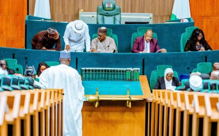 Bill to include VAT in exclusive list scales second reading at house of reps