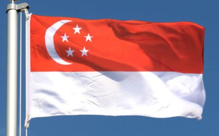 Singapore imposes 180-day renewal deadline for permanent residents