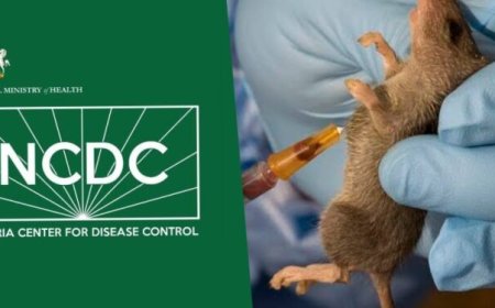 NCDC reports 172 deaths from Lassa fever in 21 states
