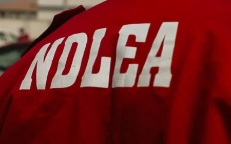 NDLEA rolls out e-portal to process visa clearance, drug test certificates